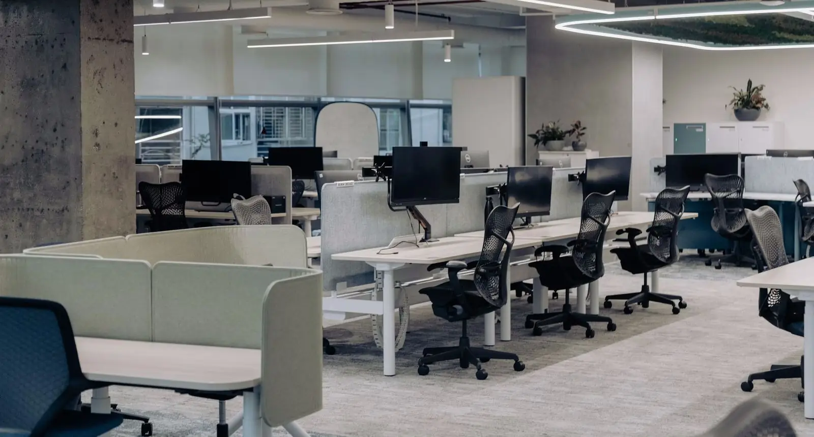 Bright, modern open-plan commercial office with clean carpet, tidy workstations and natural light